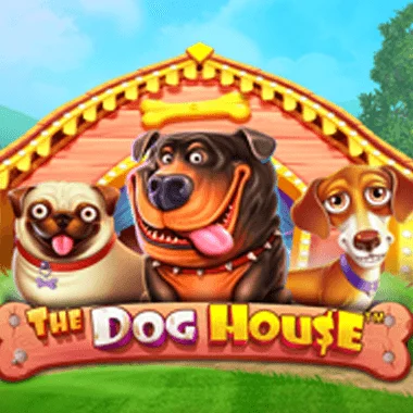 The Dog House slot game at Savaspin Casino